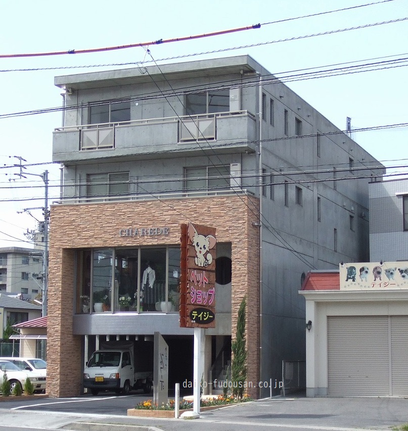 ｼｬﾚｰﾄﾞ茜